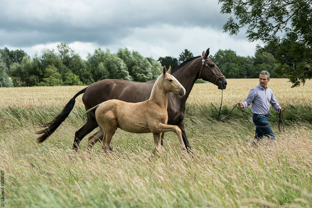 do Luar 20200705-0222