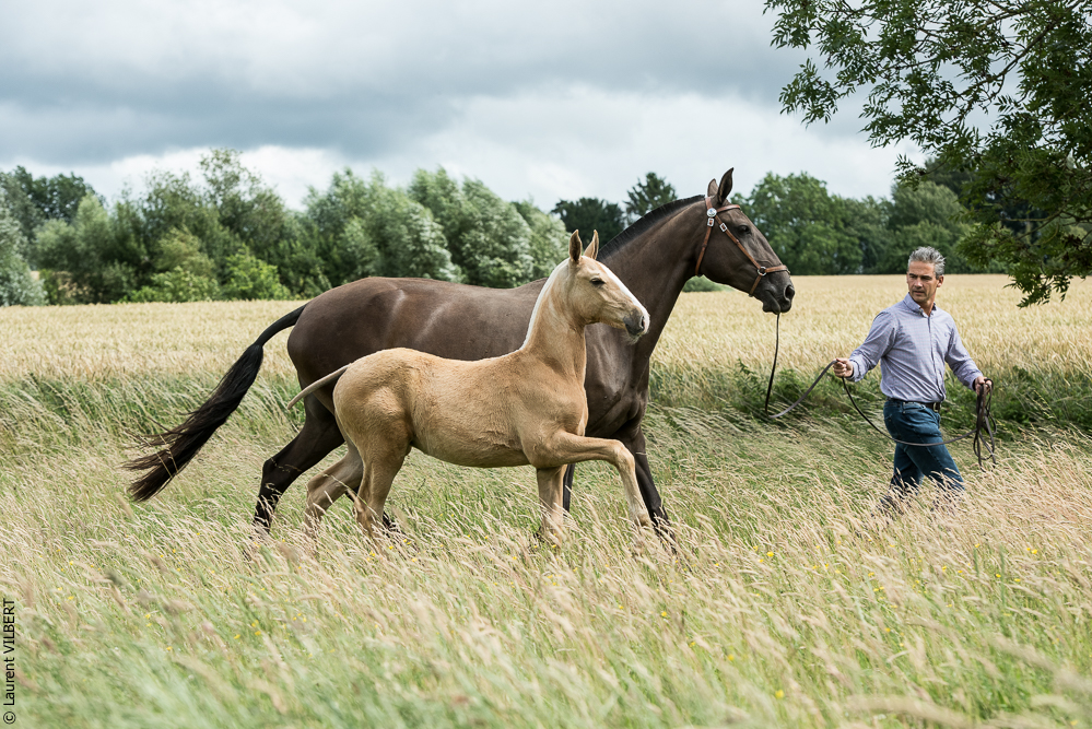 do Luar 20200705-0222