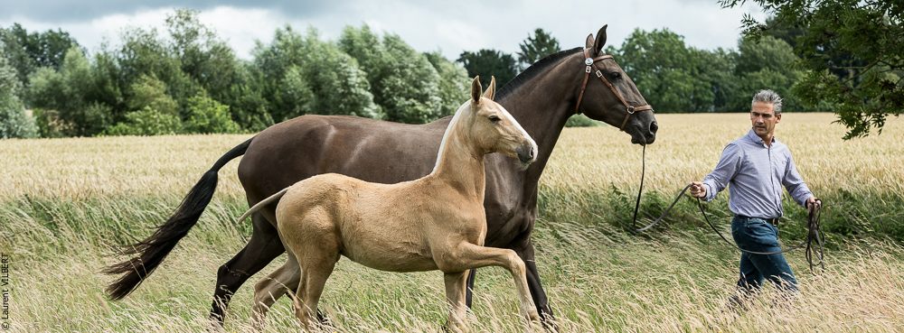 do Luar 20200705-0222