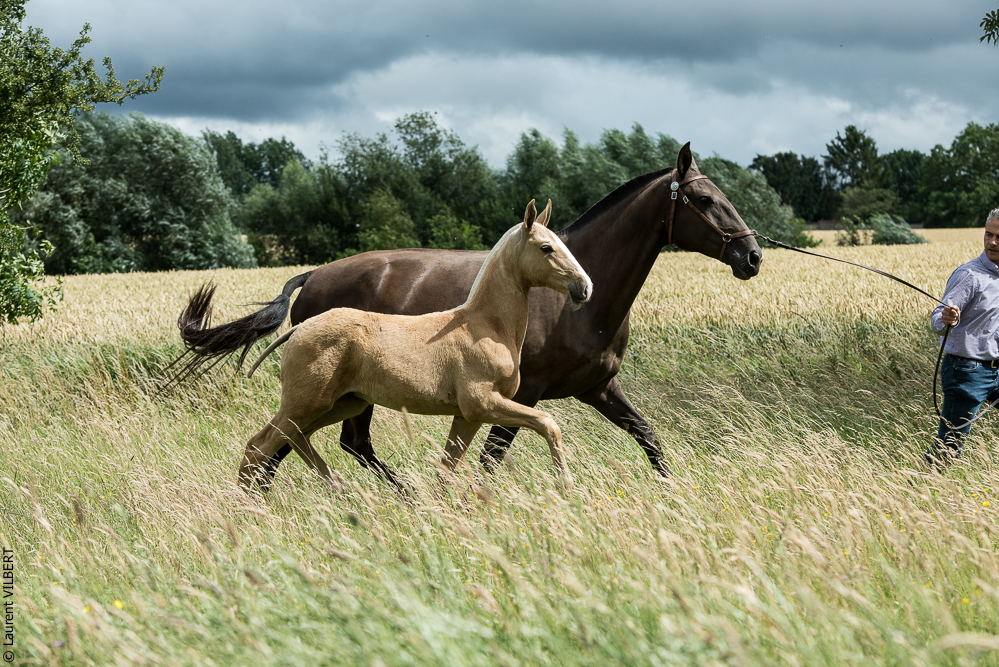 do Luar 20200705-0250