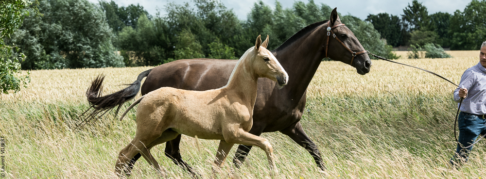 do Luar 20200705-0250