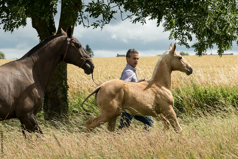 do Luar 20200705-0262