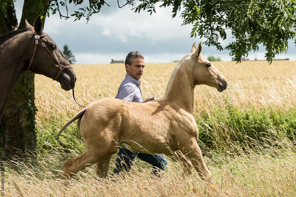 do Luar 20200705-0262