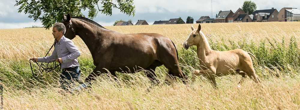 do Luar 20200705-0270