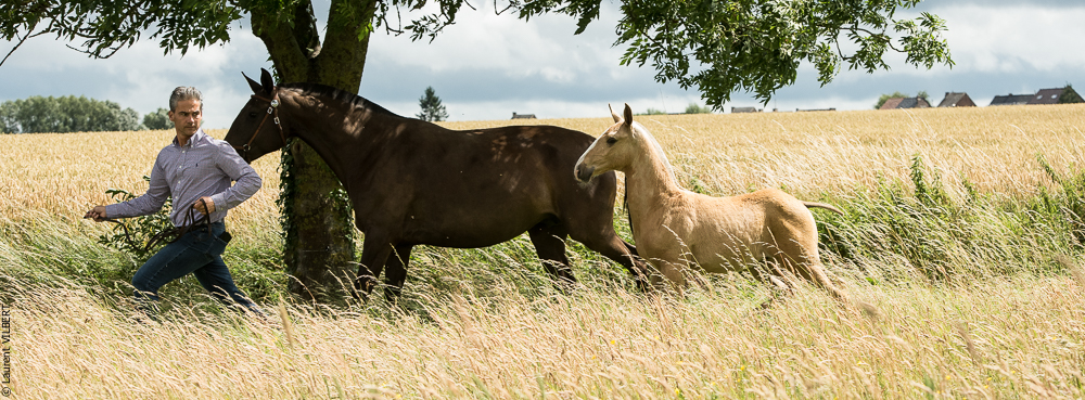 do Luar 20200705-0272
