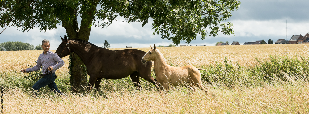 do Luar 20200705-0272