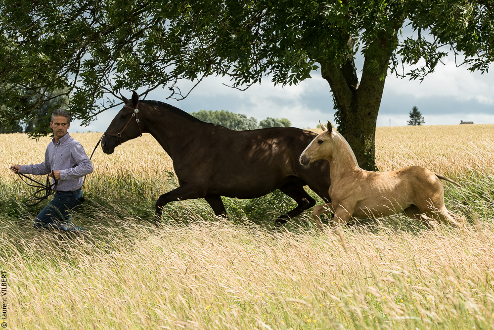 do Luar 20200705-0273