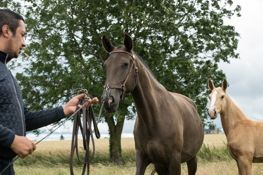 do Luar 20200705-0370