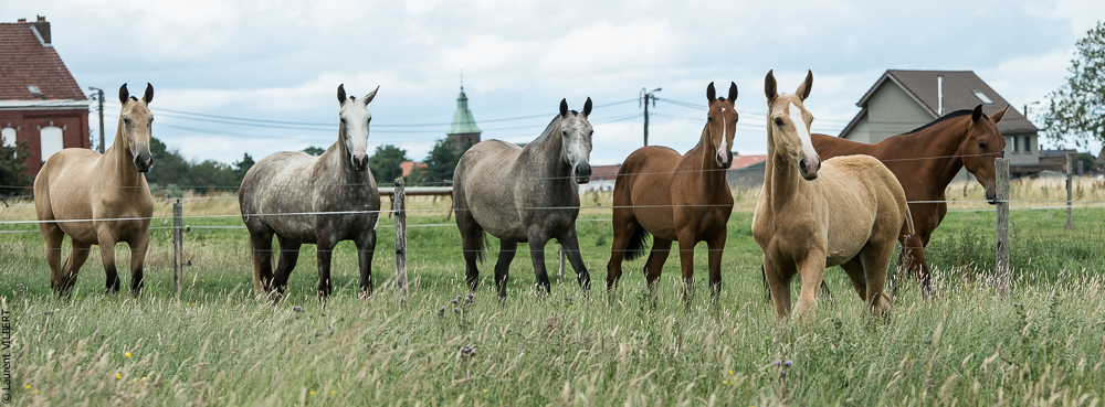 do Luar 20200705-0401
