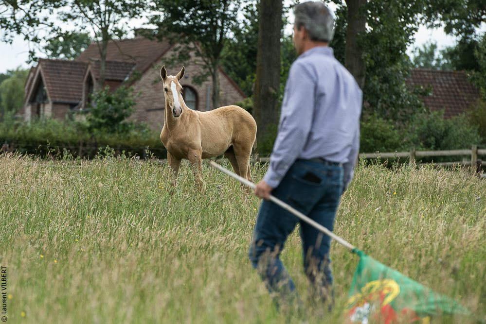 do Luar 20200705-0419