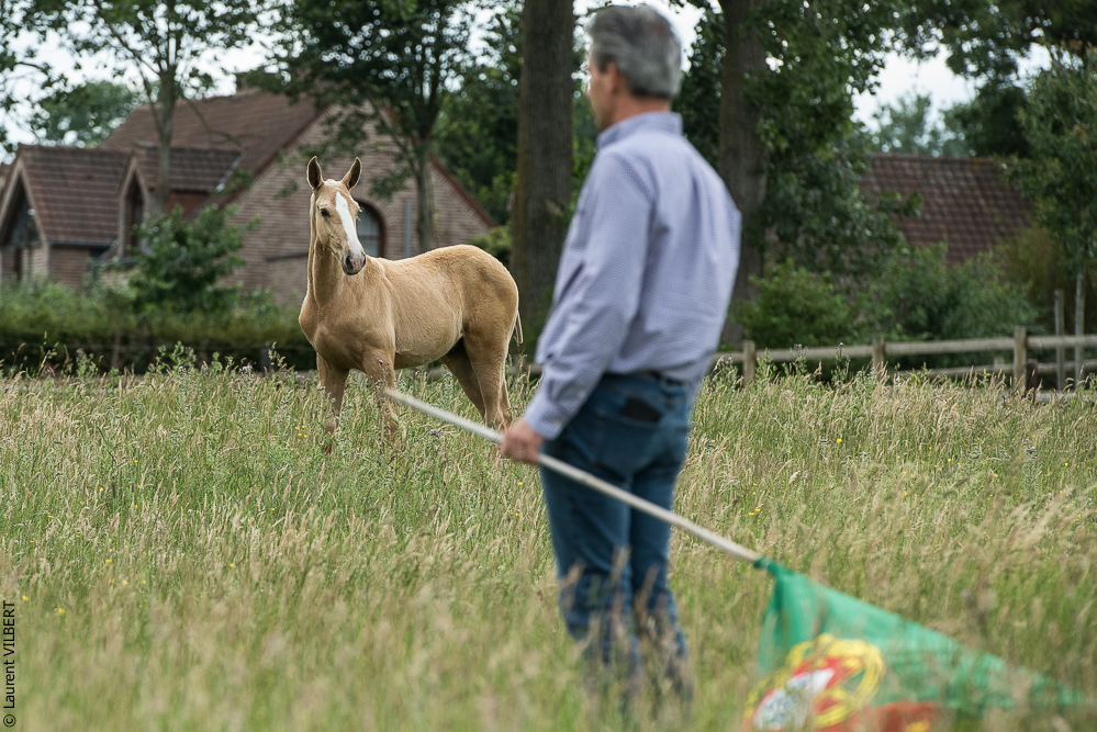 do Luar 20200705-0420