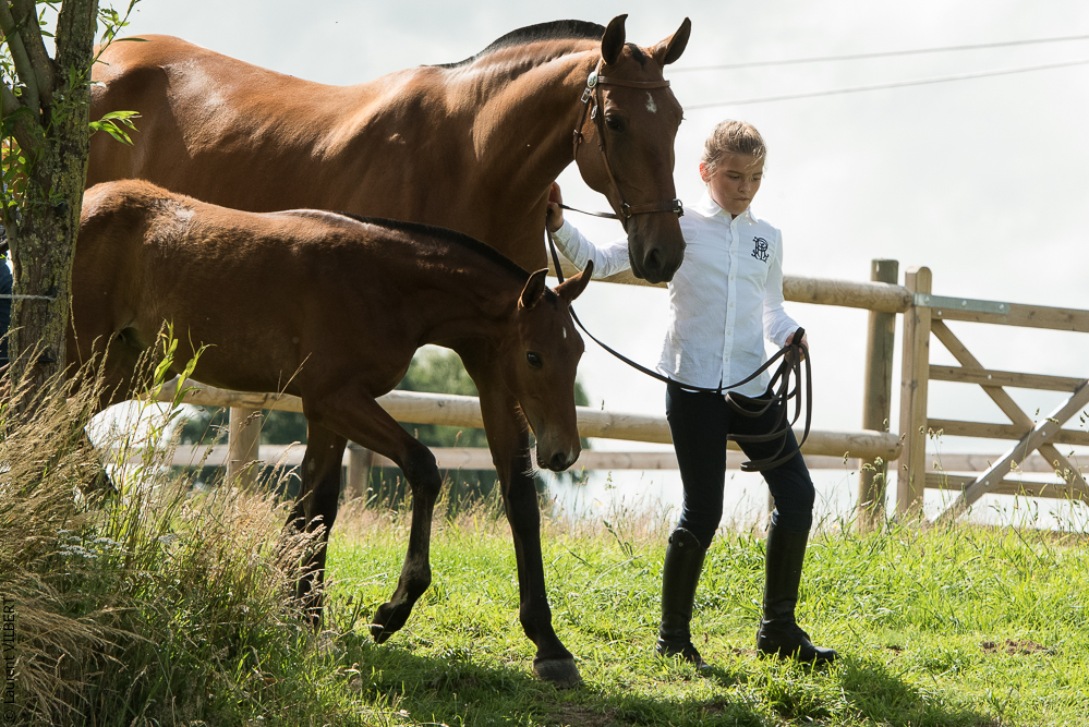 do Luar 20200705-0467