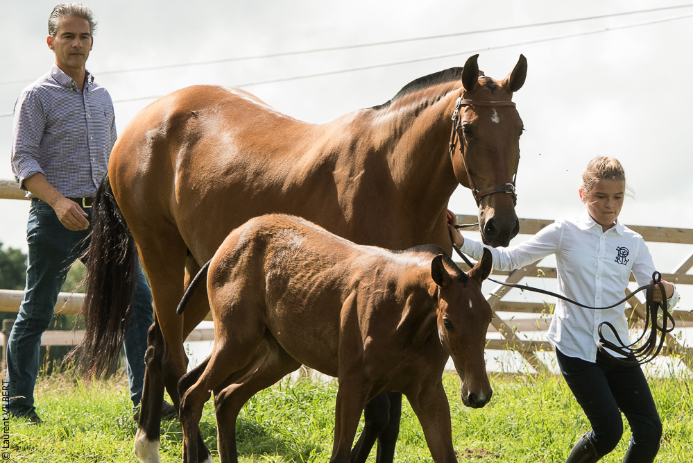 do Luar 20200705-0469