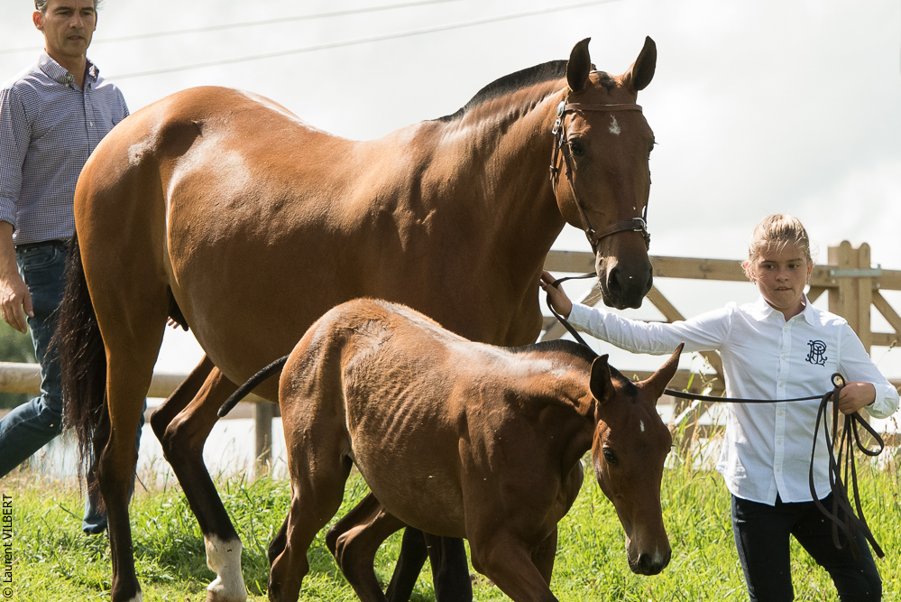 do Luar 20200705-0470