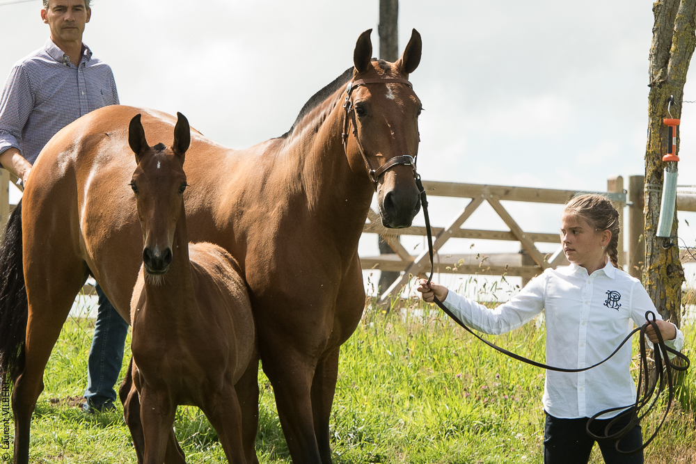 do Luar 20200705-0473