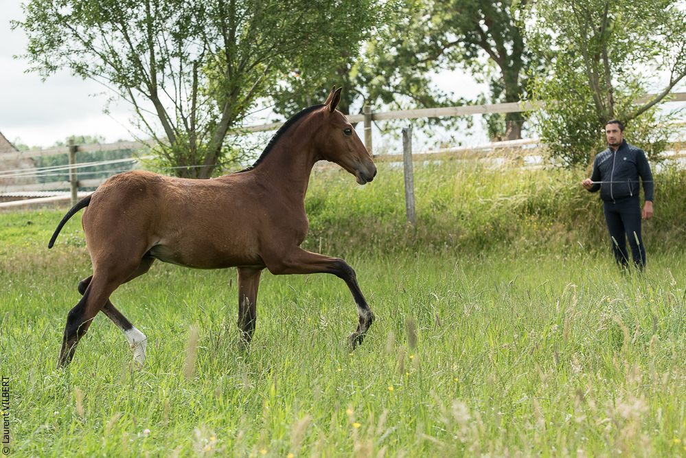 do Luar 20200705-0510