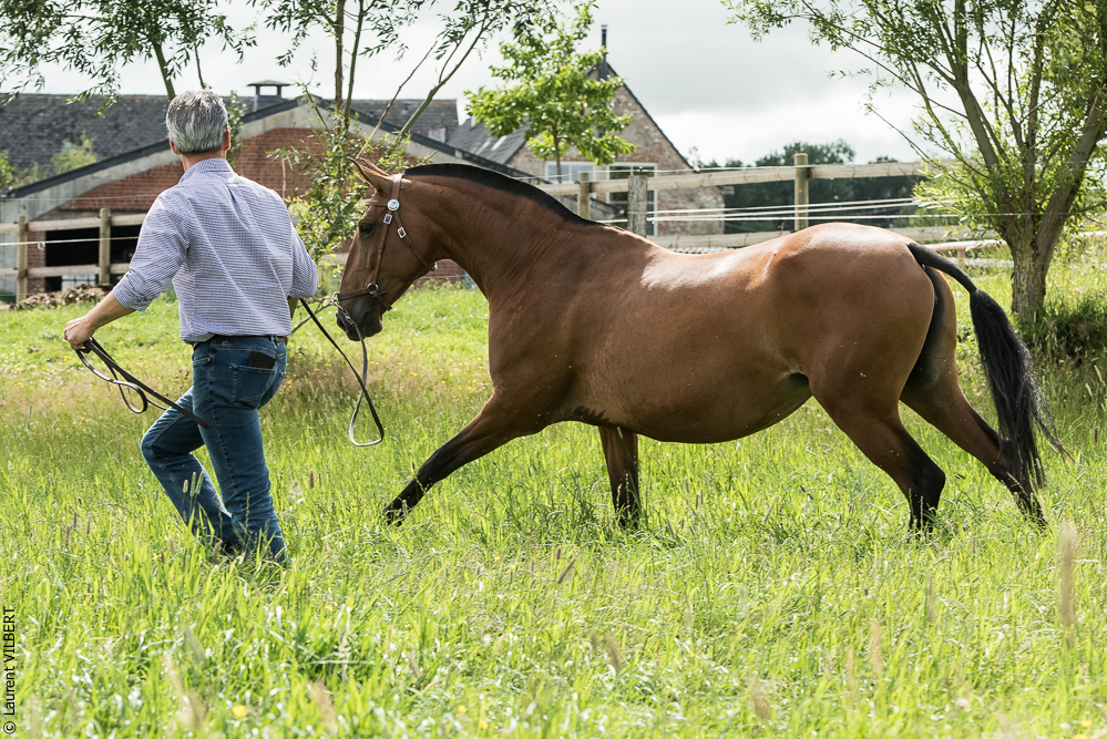 do Luar 20200705-0524