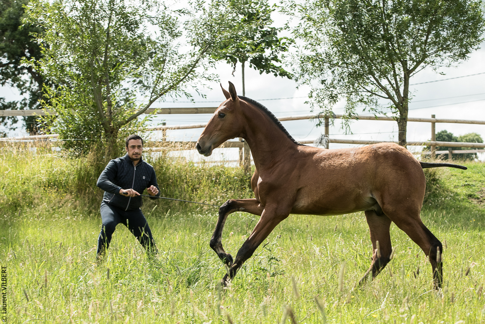 do Luar 20200705-0526
