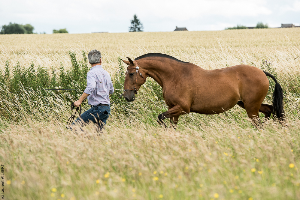 do Luar 20200705-0531