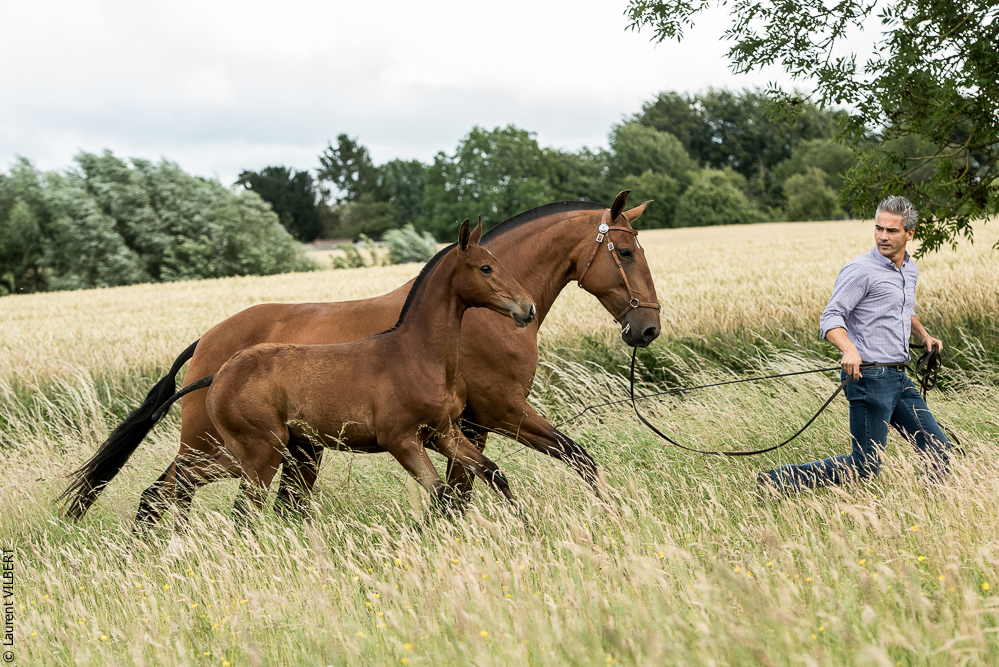do Luar 20200705-0548