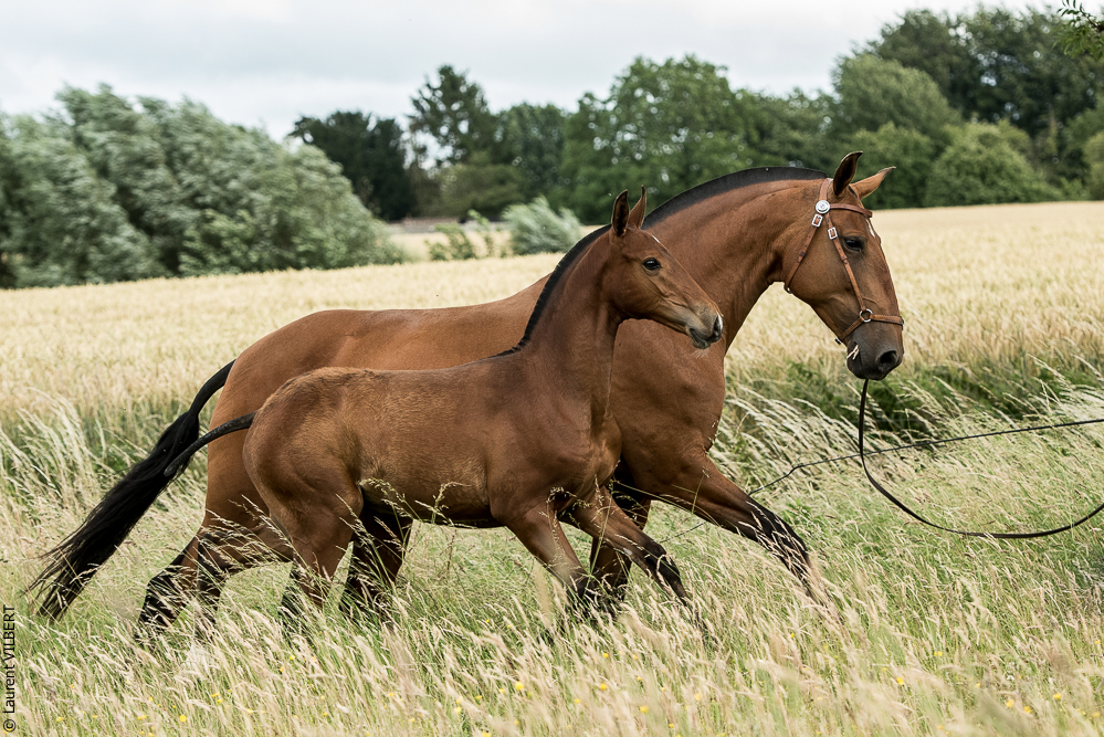 do Luar 20200705-0548