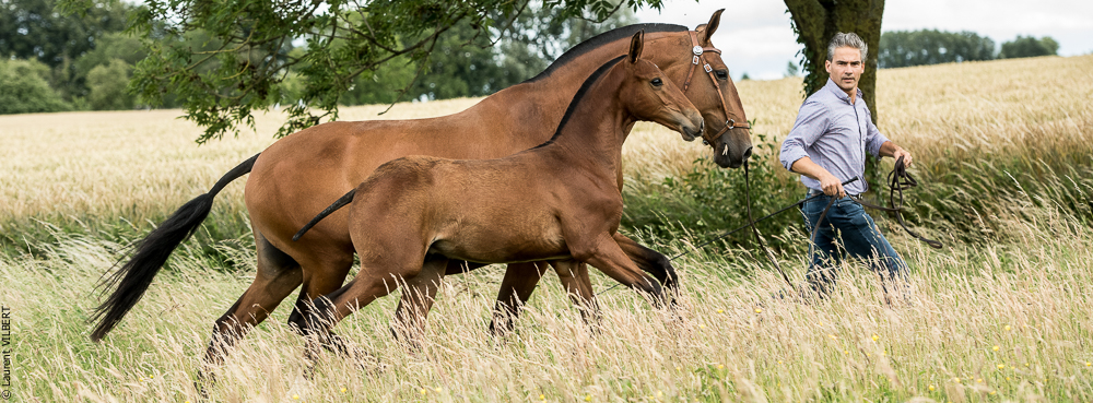 do Luar 20200705-0551