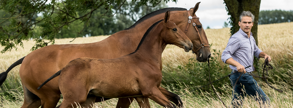 do Luar 20200705-0551