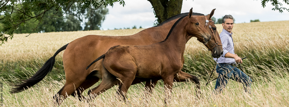do Luar 20200705-0552