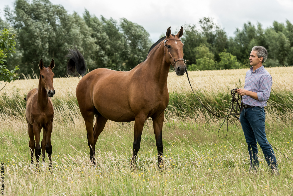 do Luar 20200705-0581