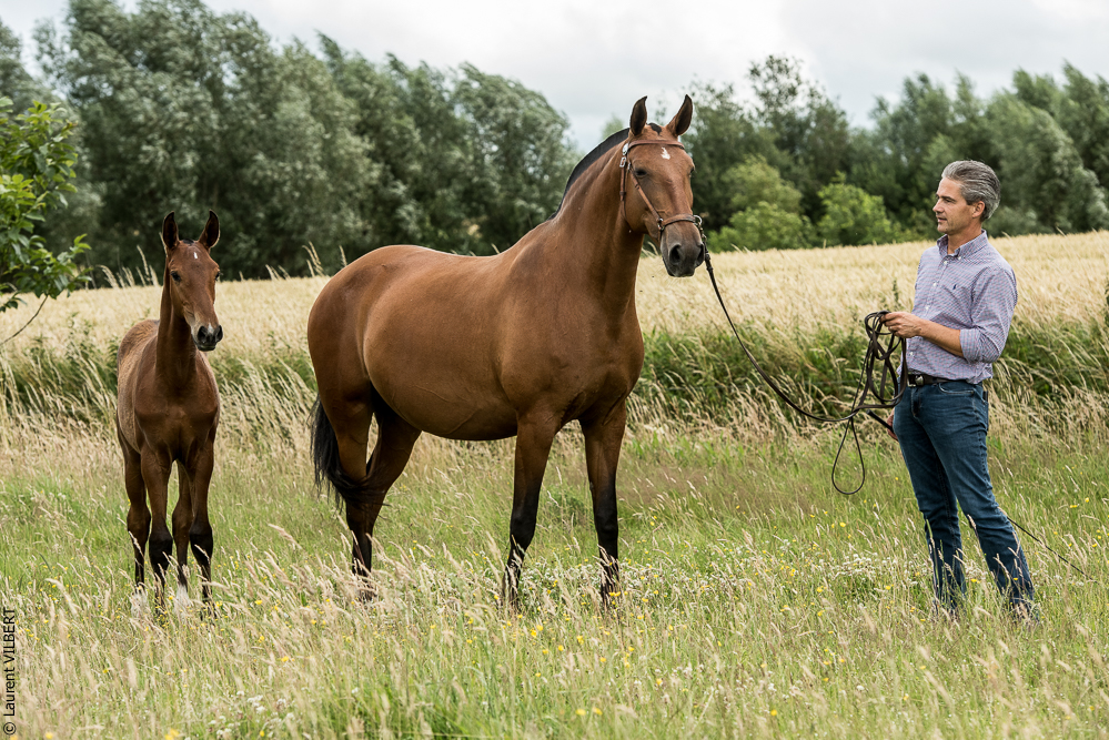 do Luar 20200705-0582
