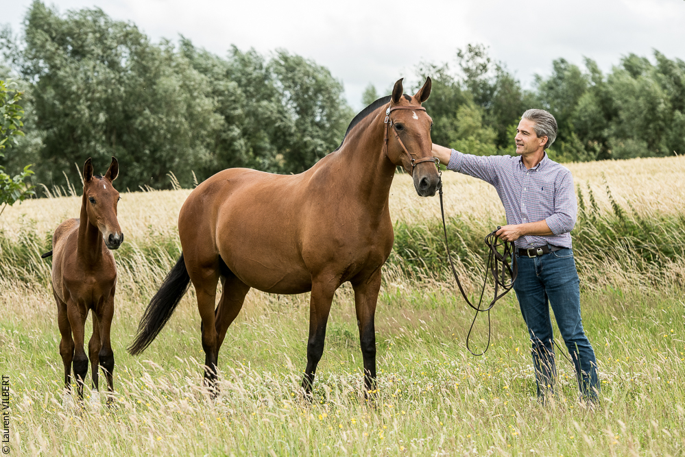 do Luar 20200705-0585
