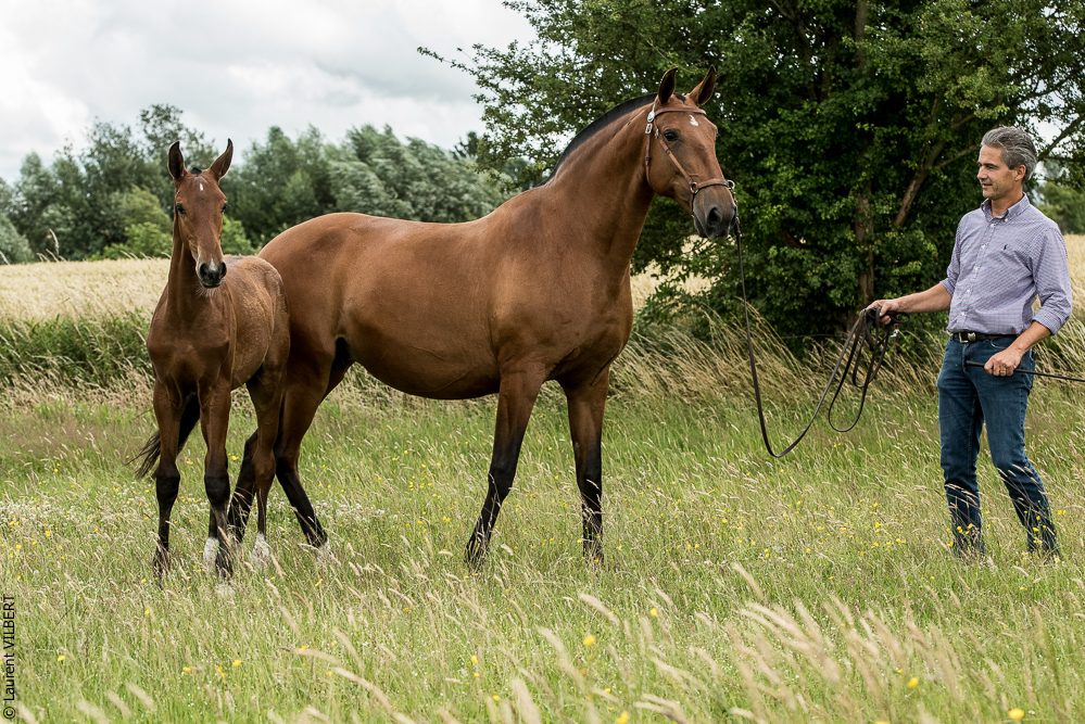 do Luar 20200705-0592