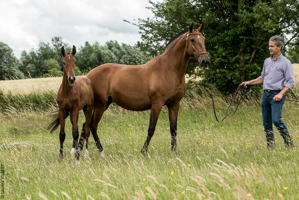 do Luar 20200705-0593