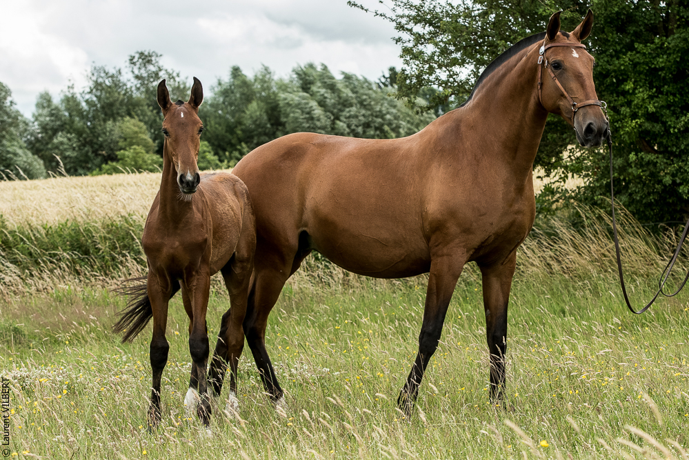 do Luar 20200705-0593