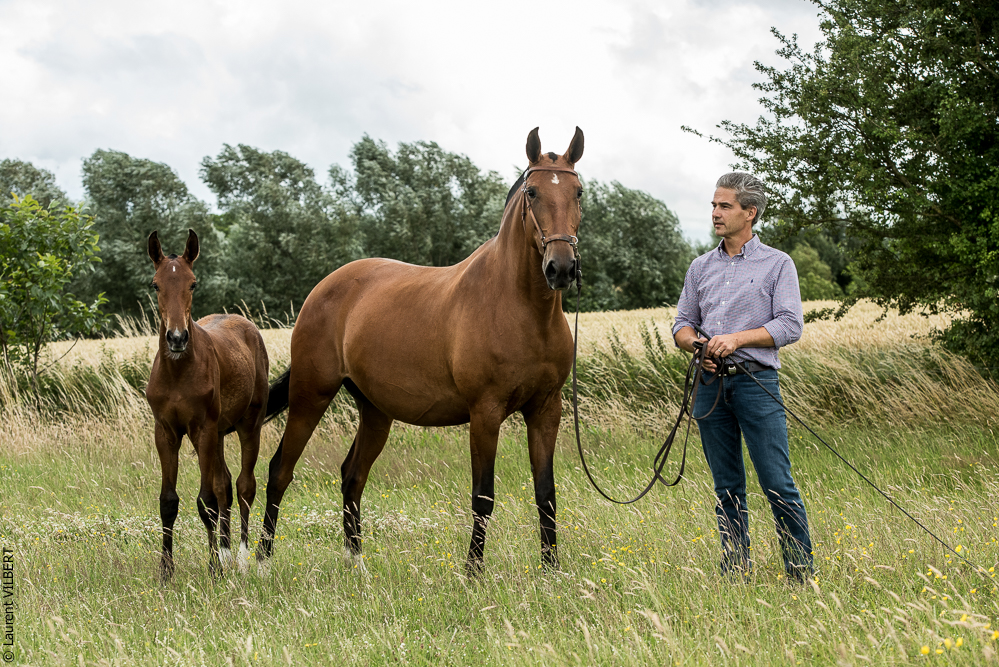 do Luar 20200705-0595