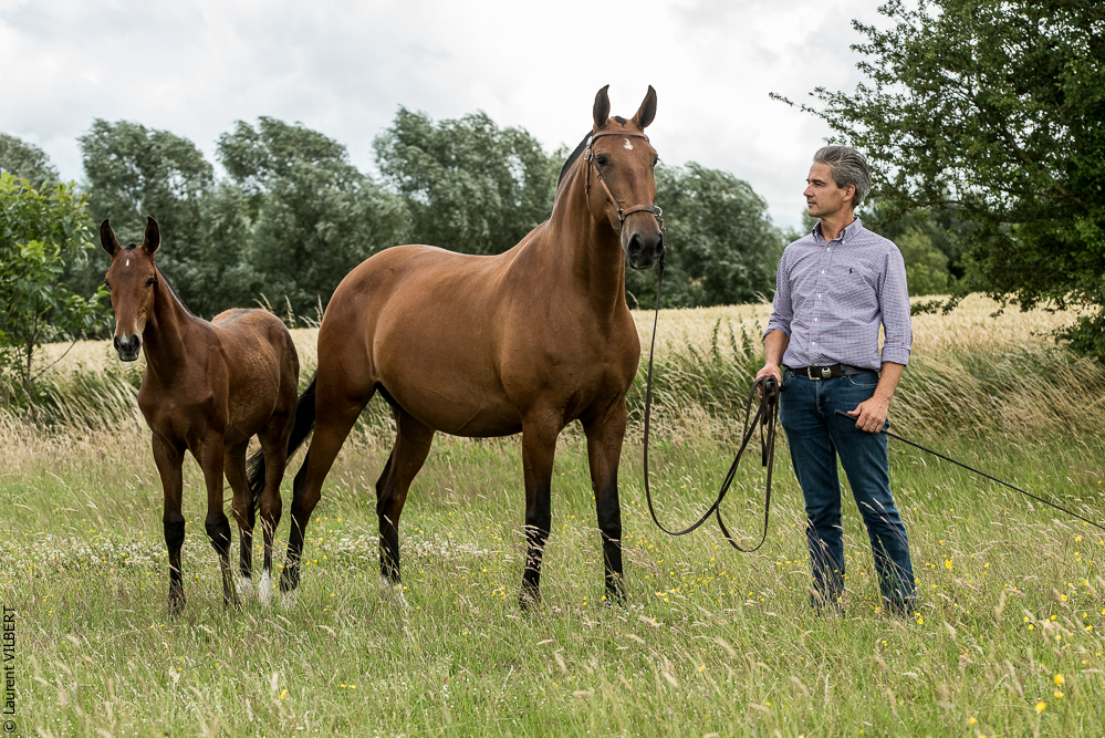 do Luar 20200705-0599