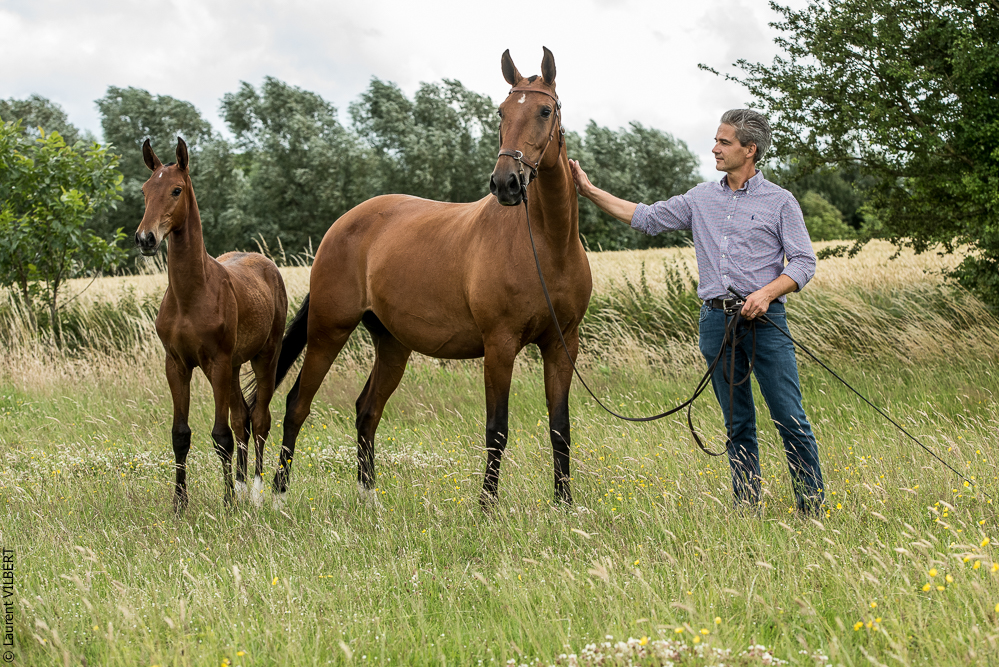 do Luar 20200705-0616