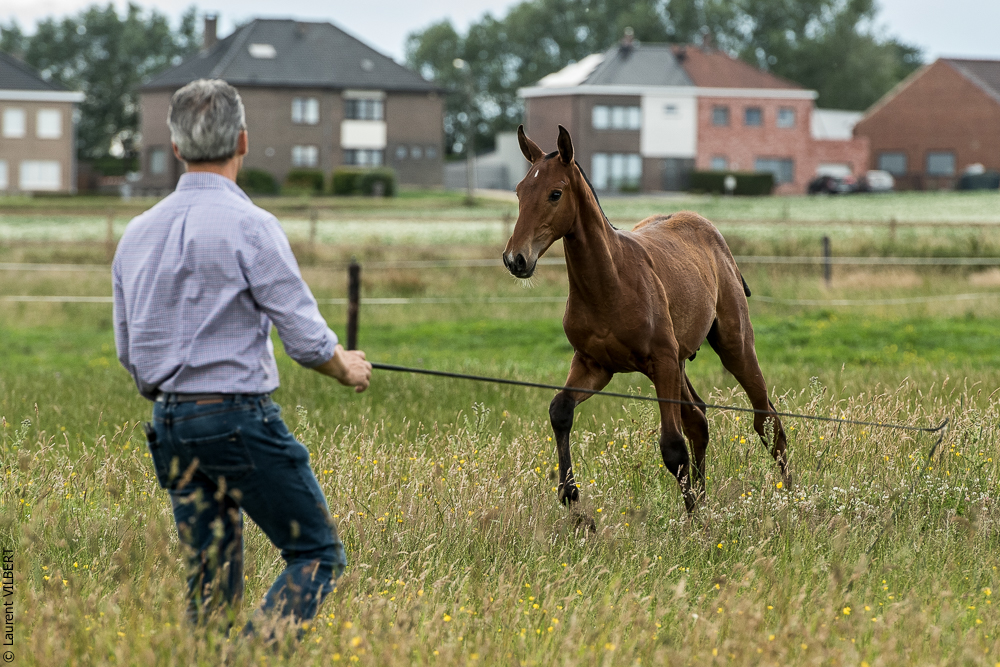 do Luar 20200705-0623