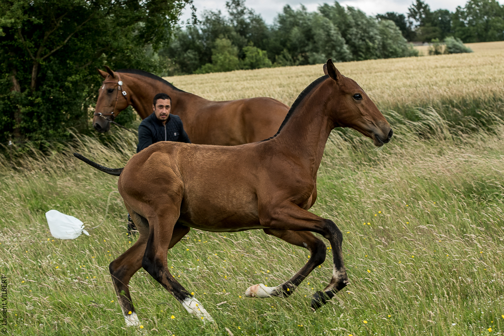 do Luar 20200705-0634
