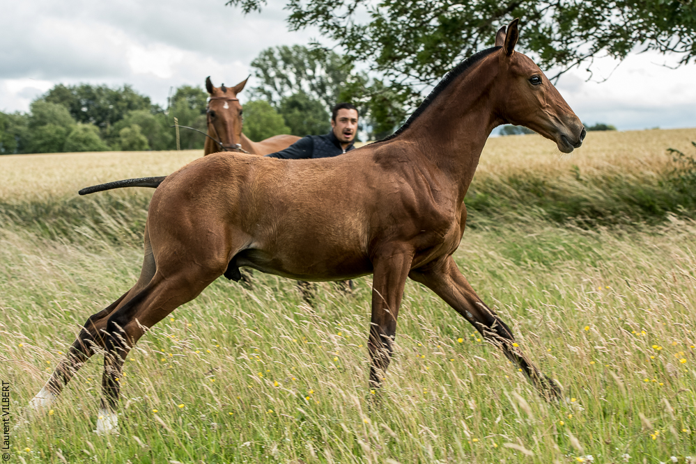 do Luar 20200705-0672