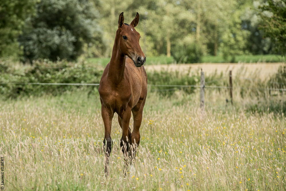 do Luar 20200705-0703