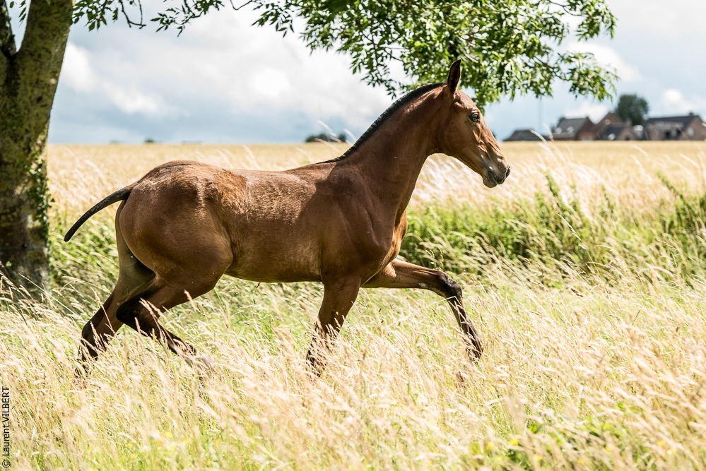 do Luar 20200705-0715