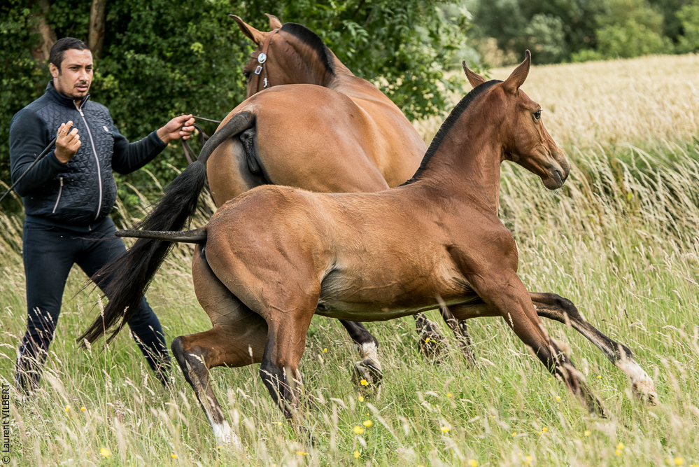 do Luar 20200705-0720