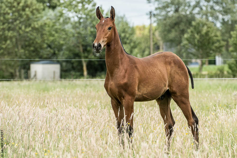 do Luar 20200705-0730
