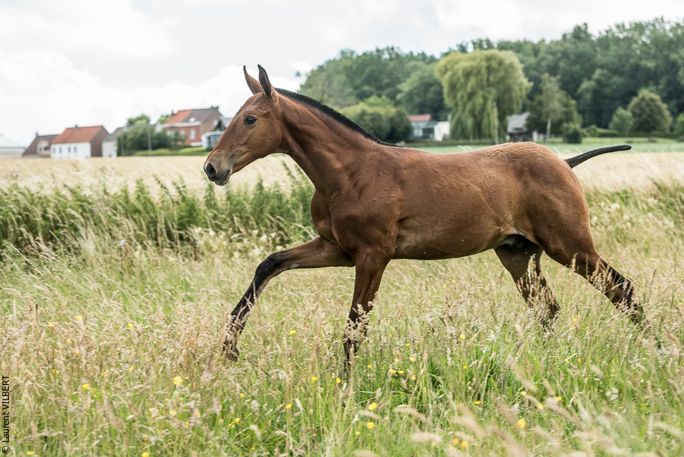 do Luar 20200705-0750