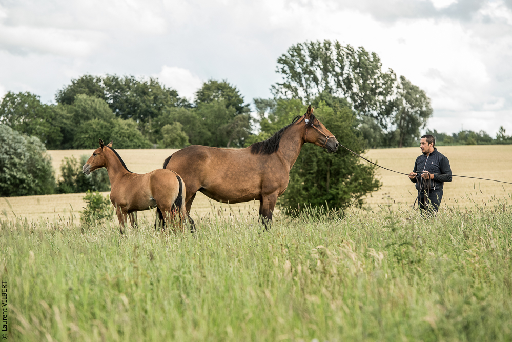 do Luar 20200705-0806