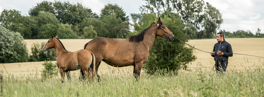 do Luar 20200705-0806