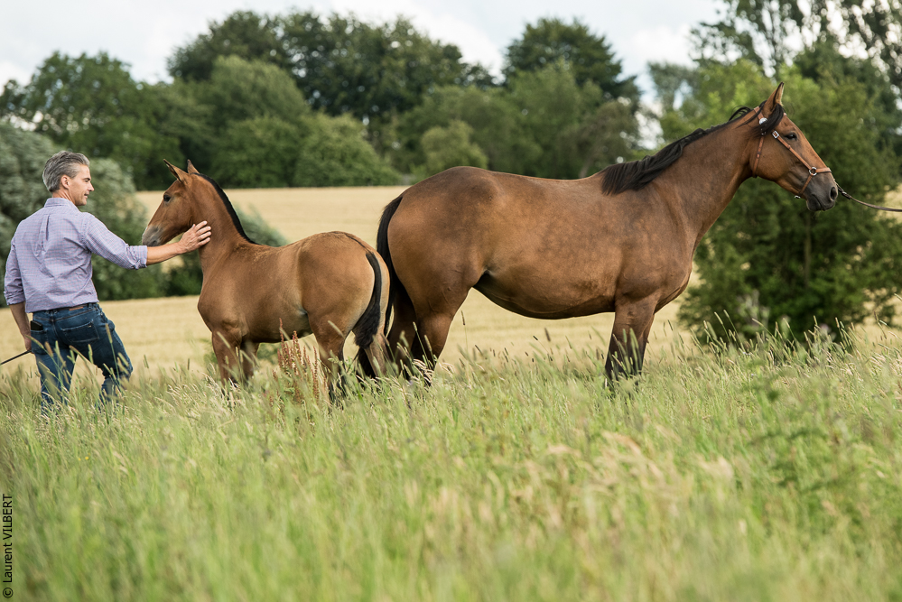 do Luar 20200705-0808