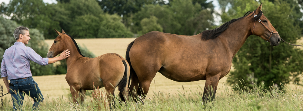 do Luar 20200705-0808
