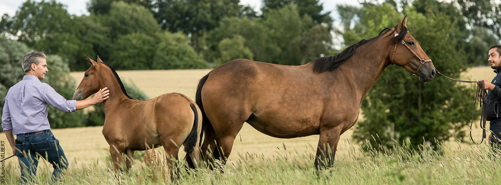 do Luar 20200705-0808
